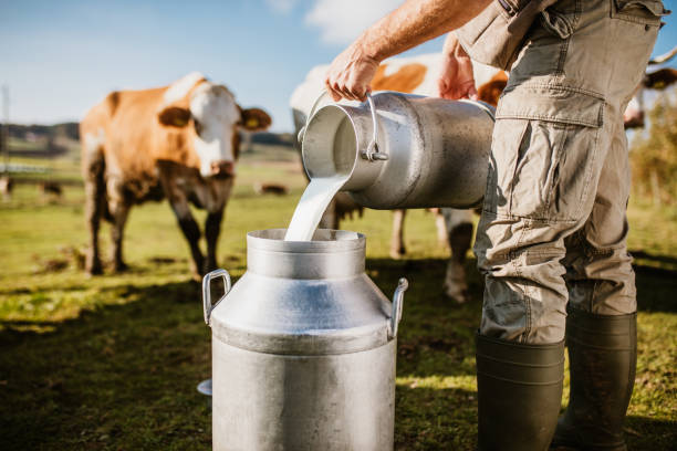 Dairy Farmer/ Entrepreneur